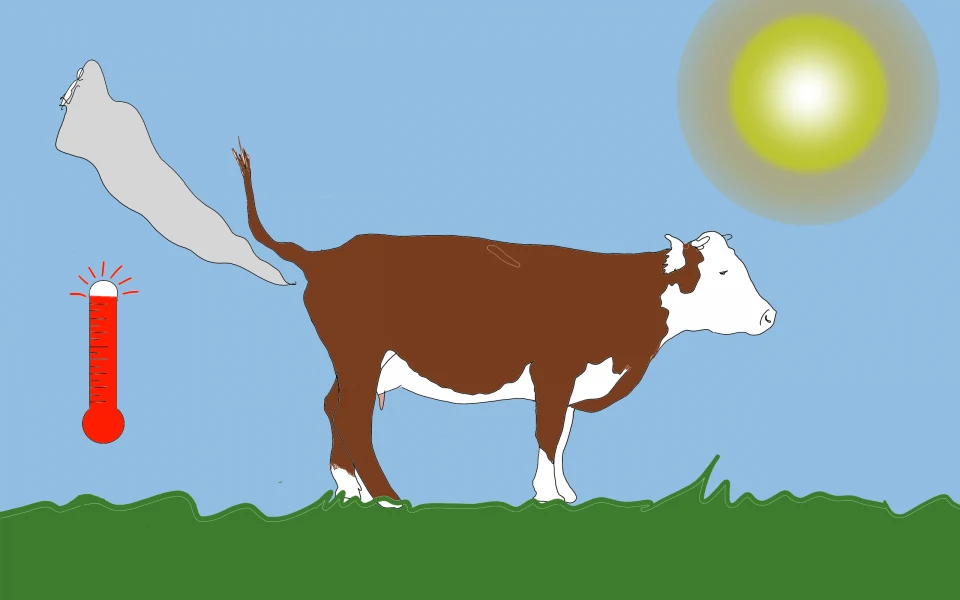 Réchauffement climatique
