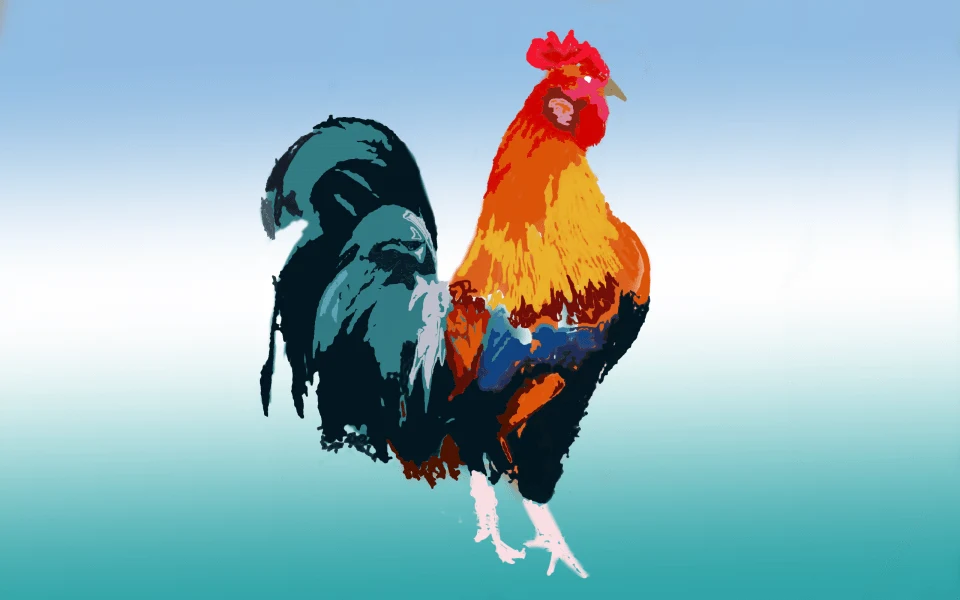 COQ GAULOIS