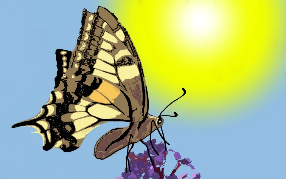 l'effet papillon