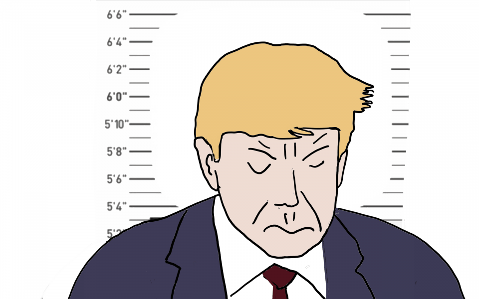 Mugshot Donald Trump