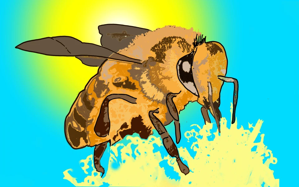 Une abeille