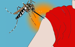 Vaccination par moustiques génétiquement modifiés