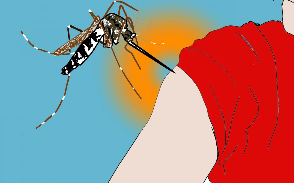 Vaccination par moustiques génétiquement modifiés