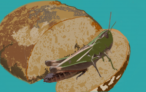 insectes dans les repas