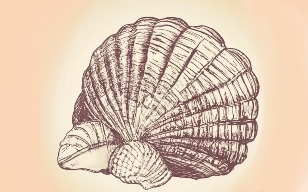 coquille saint-jacques généré par craiyon