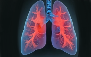 poumons généré par craiyon