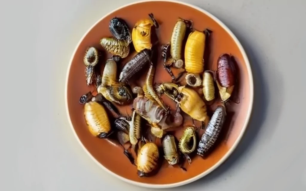insectes dans nos assiettes généré par craiyon