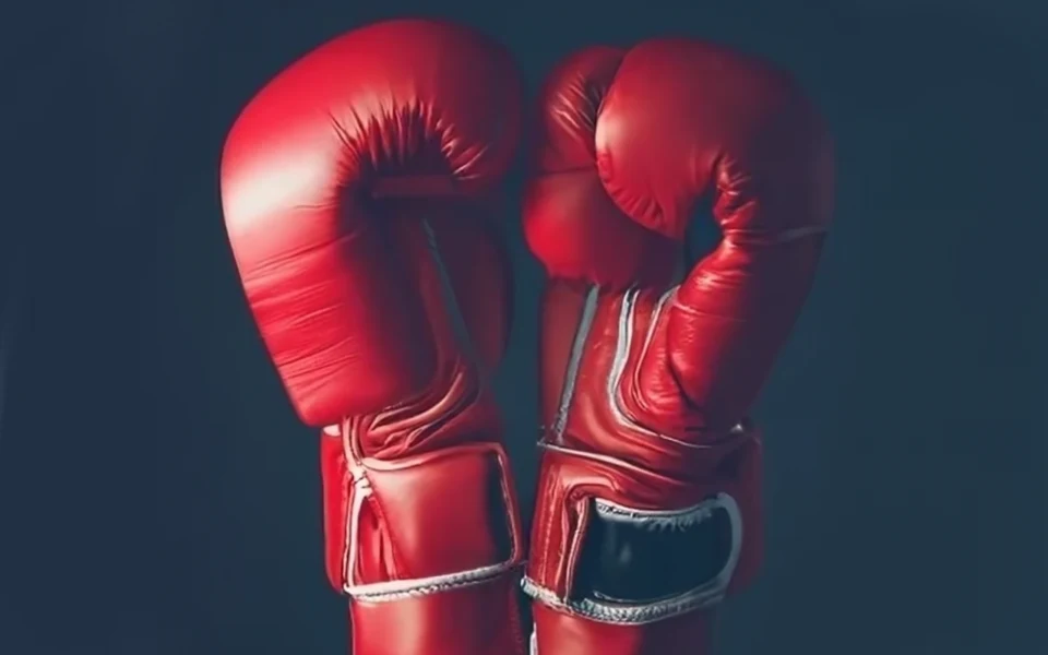boxe généré par craiyon