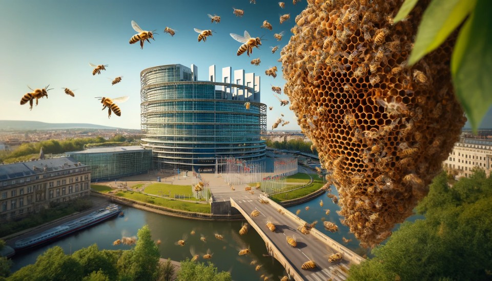 la ruche citoyenne