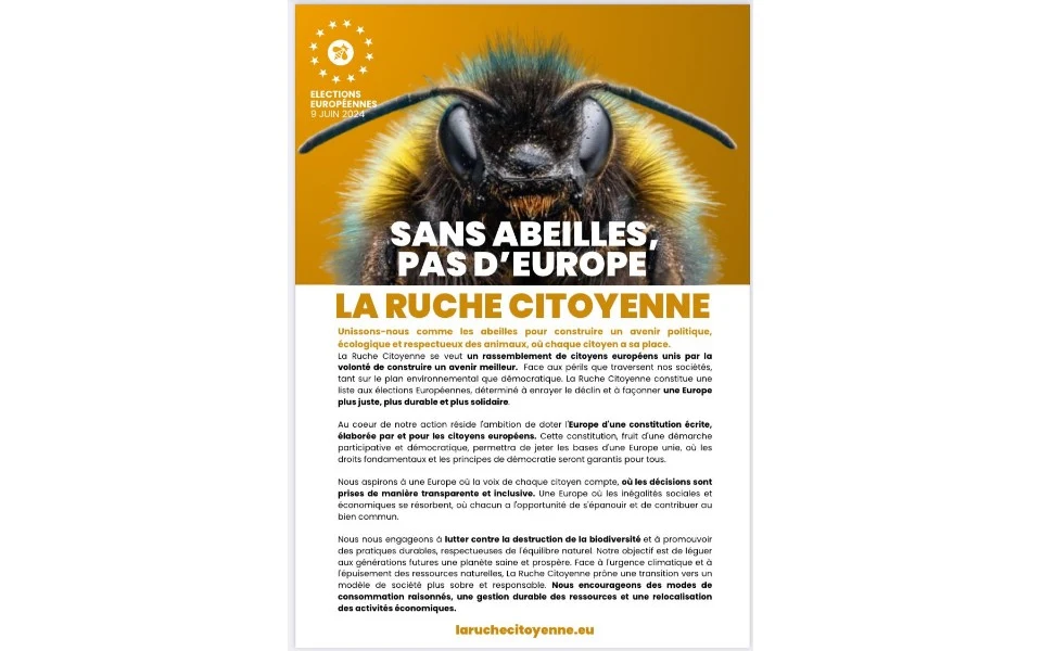 les europennes