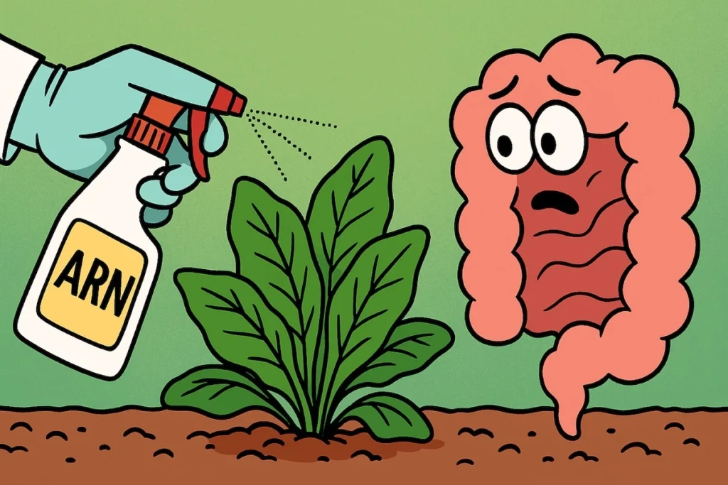 Une plante aspergée d’un spray étiqueté « ARN », pendant qu’un intestin humain l’observe d’un air inquiet